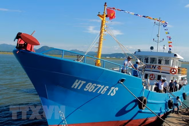 Ha Tinh provided 23 billion VND (1.01 million USD) for 5,012 fishing boat owners. (Source: VNA)