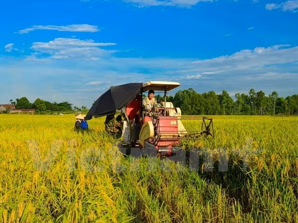 The Ministry of Natural Resources and Environment will build mechanism for land agglomeration, large-scale farming