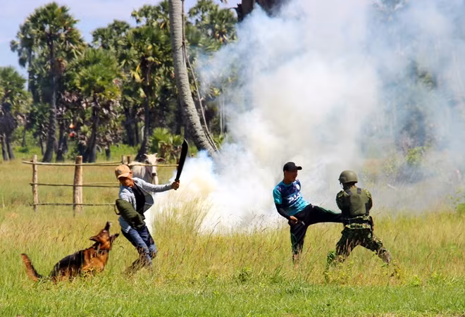 Task-force officers and professional dogs overpower and arrested criminals. Task-force officers and professional dogs overpower and arrested criminals.