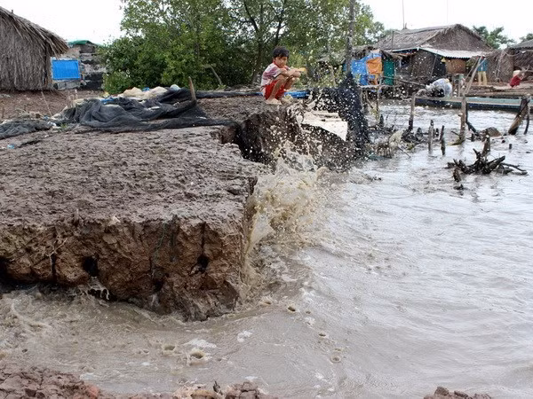 A coast section is eroded in Song Doc town of Tran Van Thoi district, Ca Mau province (Photo: VNA)