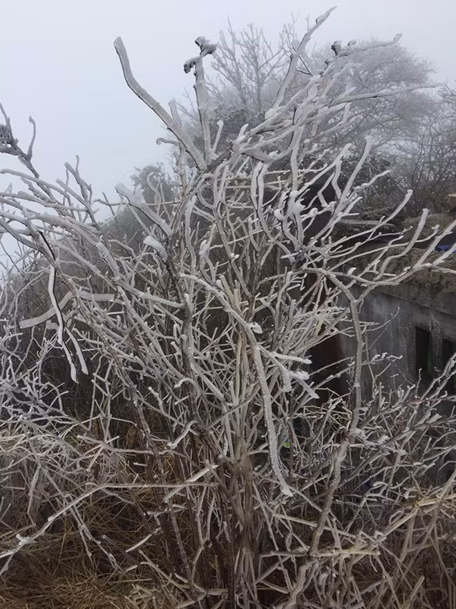 The temperature in the mountain’s top was often below zero during the previous cold spells The temperature in the mountain’s top was often below zero during the previous cold spells