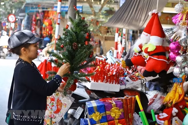 Pine tree – a must have decoration item for Christmas.
