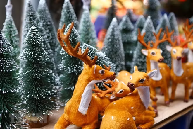 Hanoi’s streets on these days have been filled with the vibrant colours of thousands of Christmas decorations.