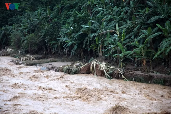 Aside from losses to human life and damage to property, the flooding hit 50 hectares of rice and subsidiary crops.
