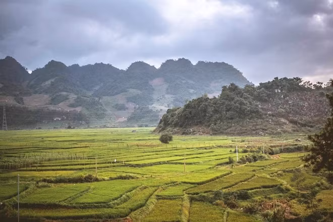 Coming to Ang village, visitors can experience daily-life activities of the Thai people, stay in their traditional stilt houses, and enjoy local specialties made from natural ingredients.