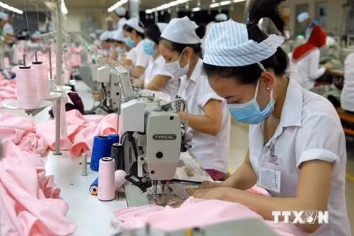 Over 64,500 new enterprises set up in first half of 2018. (Photo: VNA)