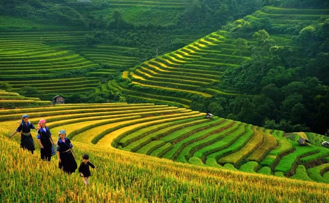 Sa Pa. Source: Internet.