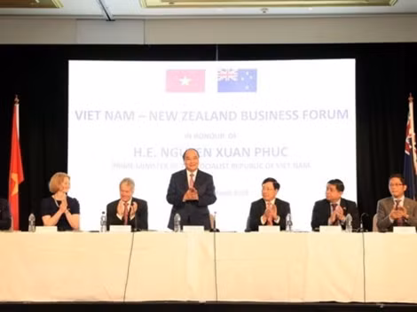 ASEAN - New Zealand young business leaders to meet in Viet Nam ảnh 2