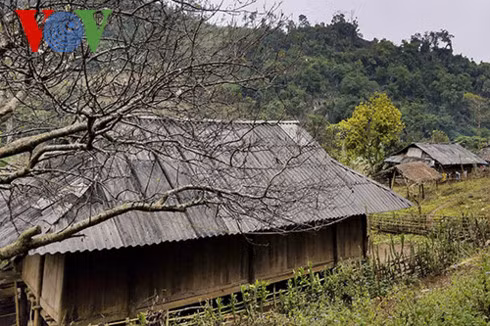 The Phu La ethnic minority people in Khua Cha hamlet, Dien Bien province. (Photo: Vu Loi/VOV)