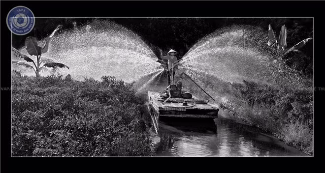 A photo by Nguyen Doan Ket from Kien Giang. Source: http://dbscl.lienhoananhkhuvuc.vn