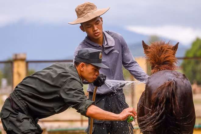 Soldiers bathe young horse. Horses like water, so it is easy for officers to clean the horses’ stable or bathe them.