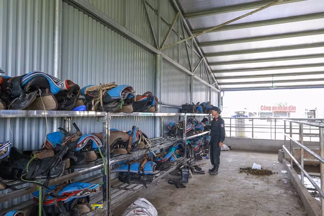 They begin their working day at 4am and end at 5pm. Every day, the soldiers get up before sunrise to feed their horses, prepare the saddle and then take them to the training field. Summer training starts earlier to avoid the heat.