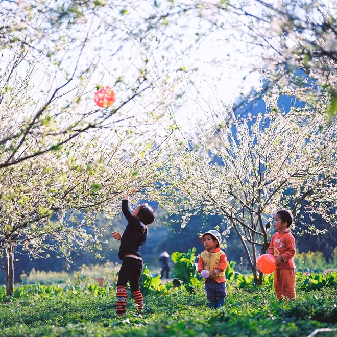 Photo: Hoang Quoc Viet