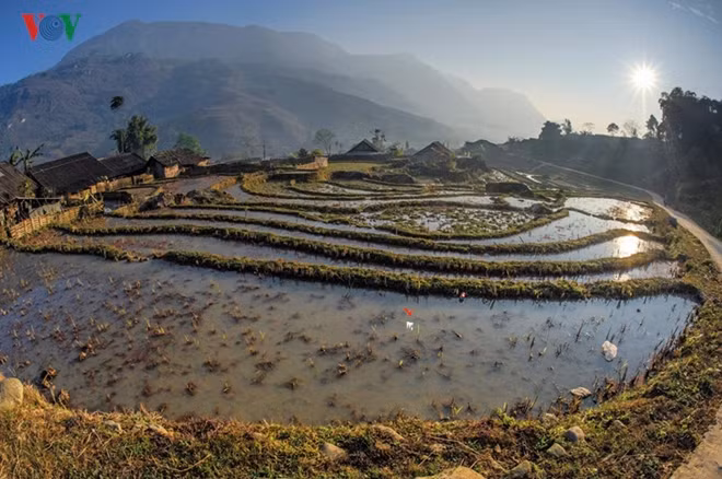 Terraced fields at dawn.