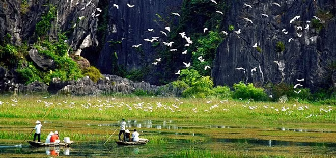 Van Long Natural Reserve in Ninh Binh Province is one of the favourite weekend holiday spots for visitors.
