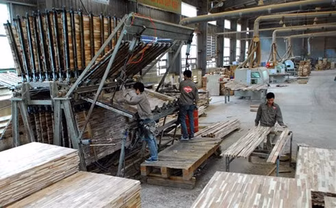 Workers process wood products at SAHABAK Joint Stock Company in Bac Kan Province’s Thanh Binh Industrial Zone Workers process wood products at SAHABAK Joint Stock Company in Bac Kan Province’s Thanh Binh Industrial Zone