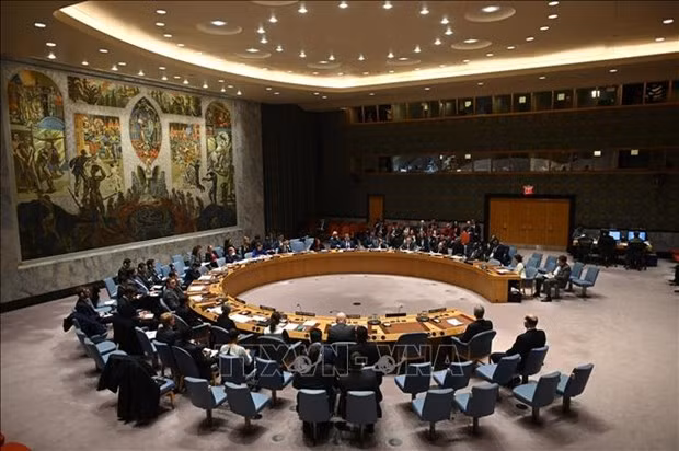 A meeting of UNSC in New York (Photo: AFP/VNA)