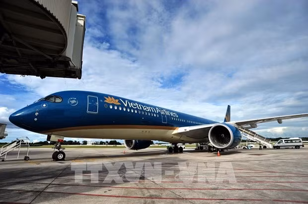 Aircraft of Vietnam Airlines. (Photo: VNA)