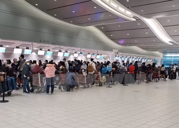 Vietnamese citizens in Canada line up at the airport for boarding procedures (Source: VNA)