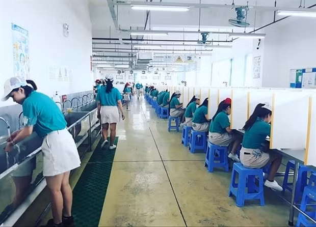 Safety screens installed at dining tables to prevent COVID-19 infection at a company at the Tan Thuan Export Processing Zone in HCM City’s District 7 (Photo: HEPZA)