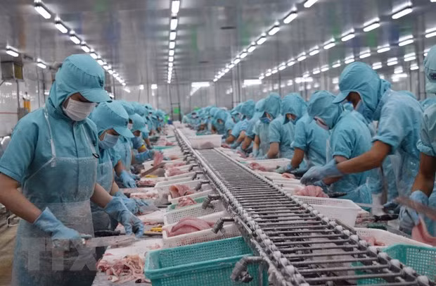 A fish processing factory (Photo: VNA)