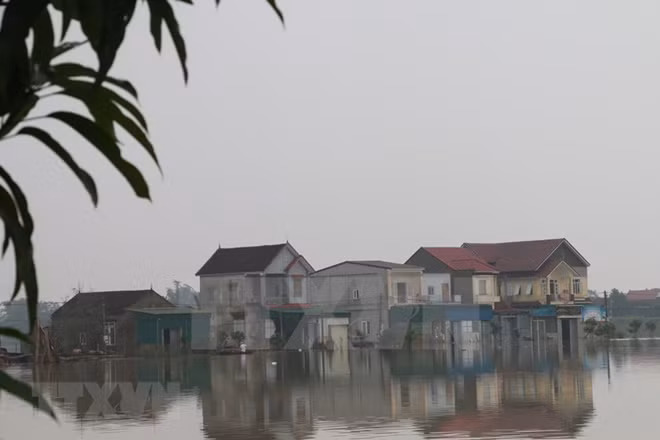 Many houses are deeply submerged in water