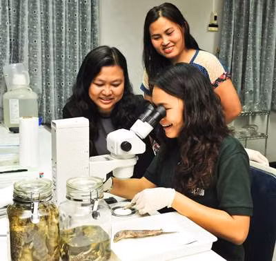 Female scientists part of the USAID Partnerships for Enhanced Engagement in Research Science project work on biodiversity and conservation at Kasetsart University’s lab in Thailand. USAID