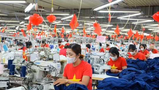 Vietnam and Belgium expand cooperation, tap trade, investment potential