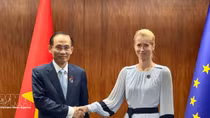 AMM-59: Vietnam proposes substantive, sustainable ASEAN-EU ties