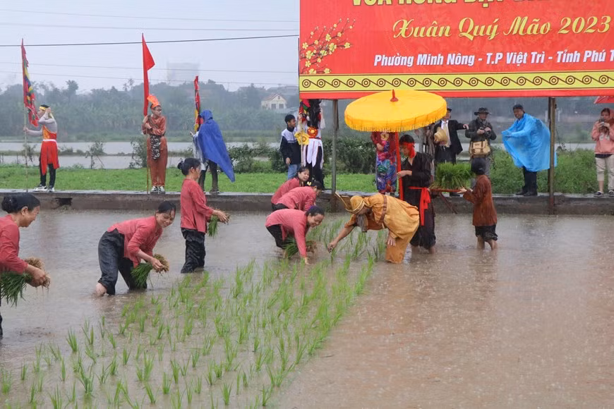 Festival commemorates Hung Kings’ teaching of rice cultivation -2