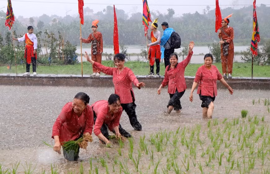 Festival commemorates Hung Kings’ teaching of rice cultivation -0