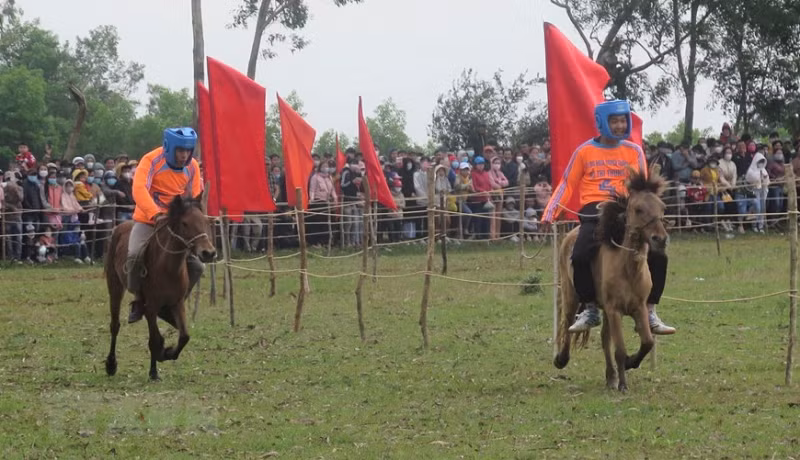 Farmers become horse racers in Phu Yen -0