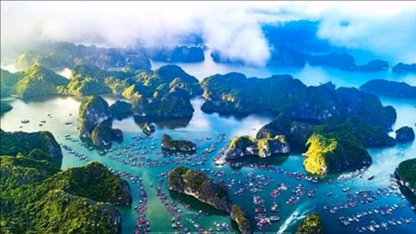 Ha Long Bay-Cat Ba Archipelago recognised as world natural heritage ảnh 3