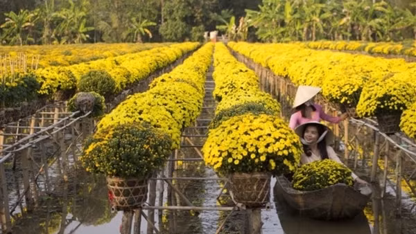 Police forces review task of ensuring security and order in Mekong Delta ảnh 4