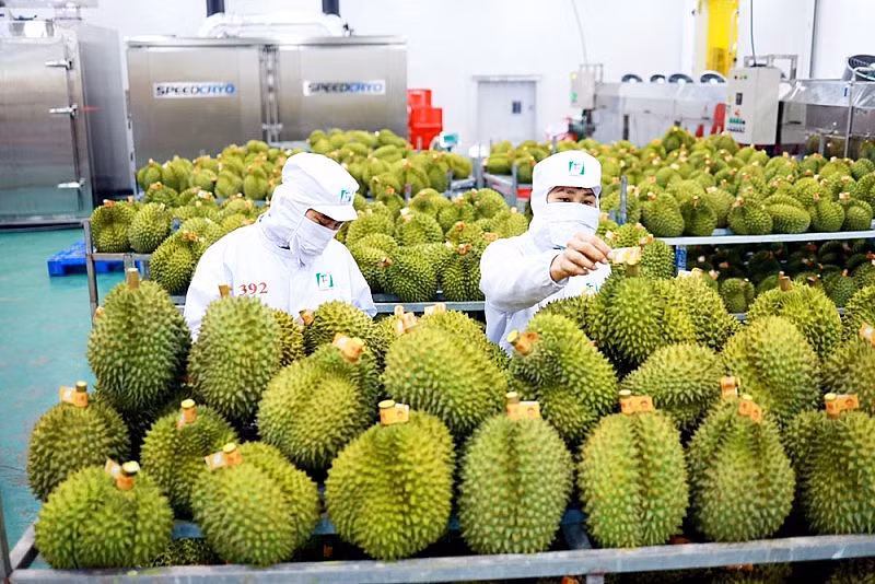 Huge upside for Vietnam's agricultural products -0