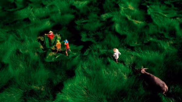 International photographers join Photographic Society of America gathering in Ninh Binh ảnh 4