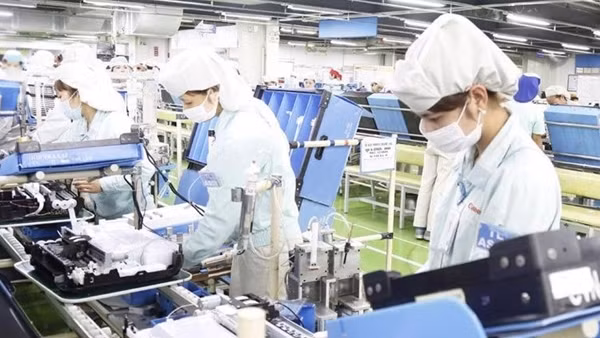 Leading US firms to explore business opportunities in Vietnam ảnh 3