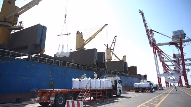 Export activities bustle on first workday after Tet -0