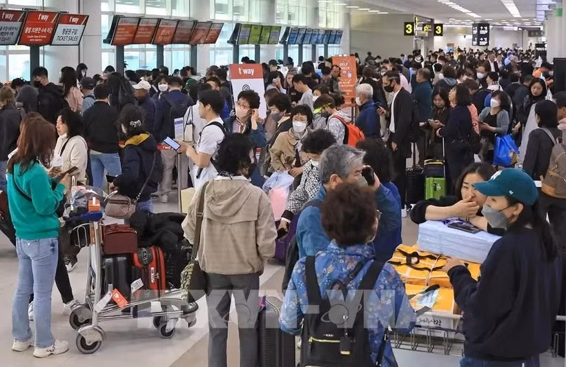 Embassy urges Vietnamese citizens in RoK to comply with local law -0