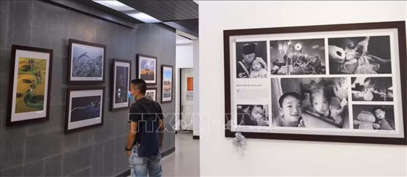 Photography festival for young artists kicked off -1