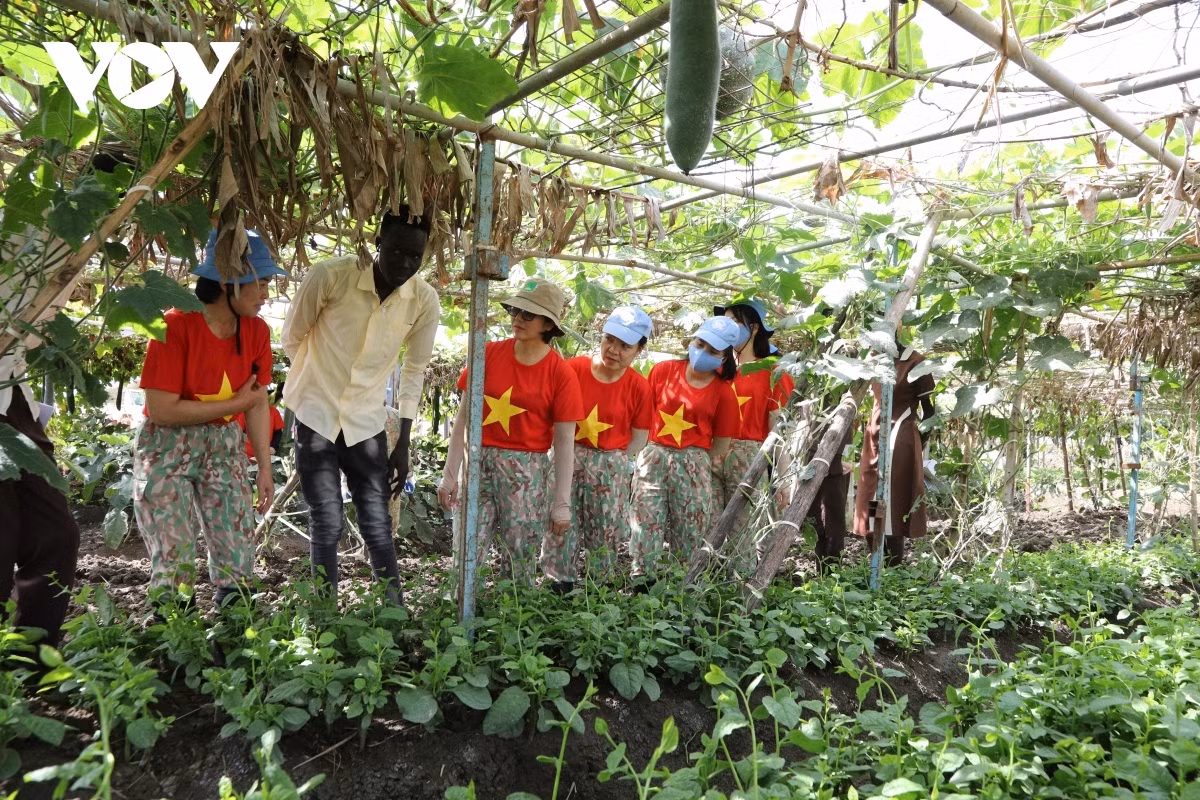 Vietnamese women contribute to national development, global peace -0