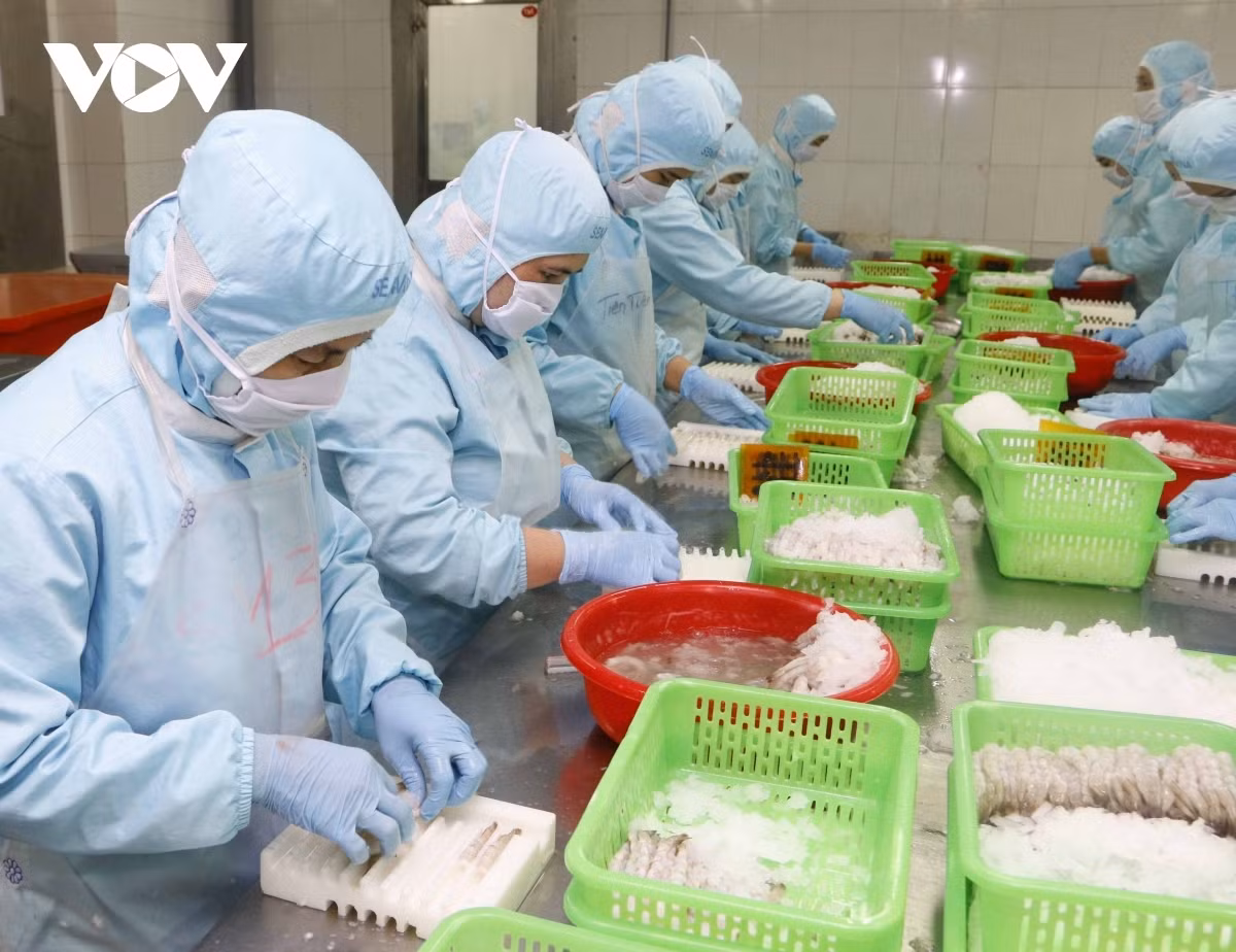 Seafood exports to UK record double-digit growth -0