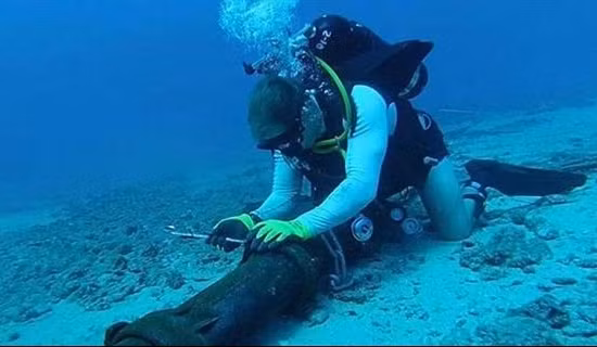 Backup infrastructure keeps Vietnam’s Internet stable after undersea cable incident ảnh 3