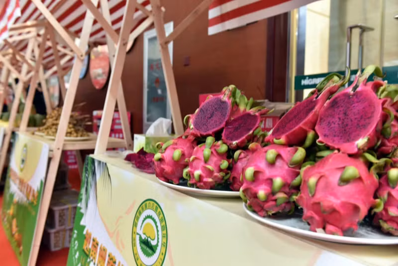 Vietnamese durian and fruit festival opened in China’s Tianjin city -0