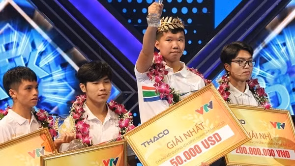 Vietnamese student wins big at international programming contest ảnh 3