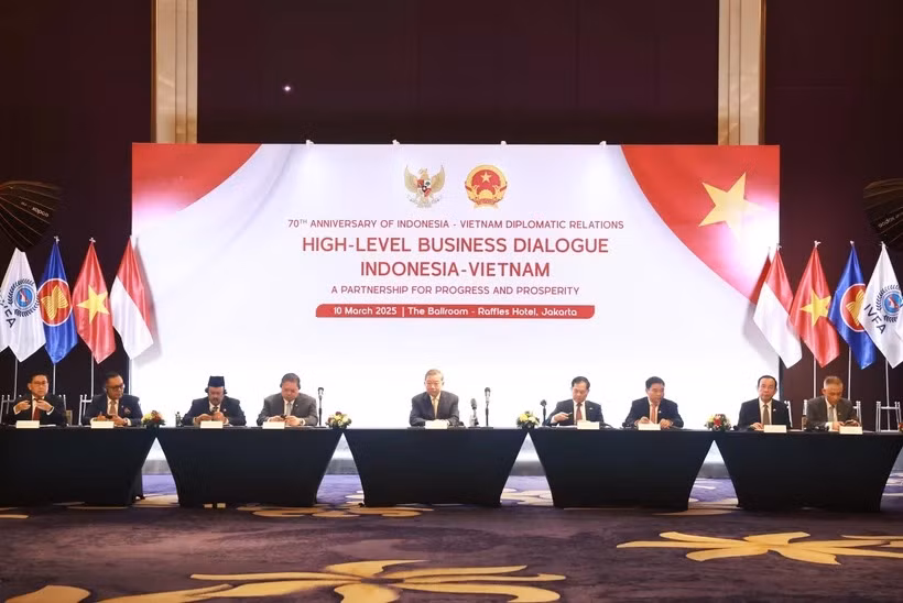 Party chief attends Vietnam – Indonesia business dialogue -0