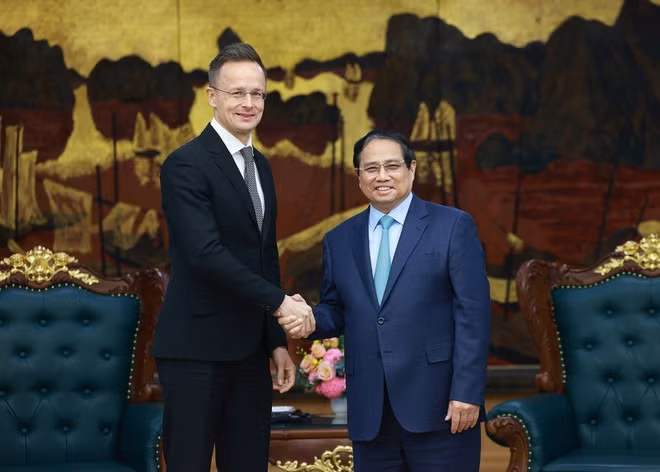 Vietnam treasures comprehensive partnership with Hungary: PM -0