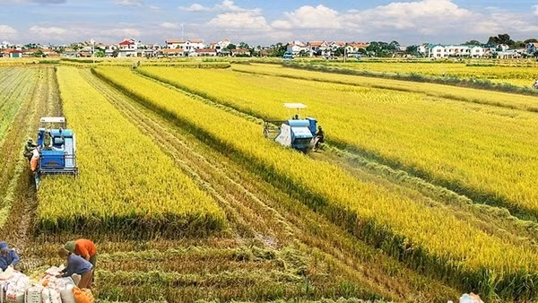 AI to fuel development of modern agriculture: workshop ảnh 2