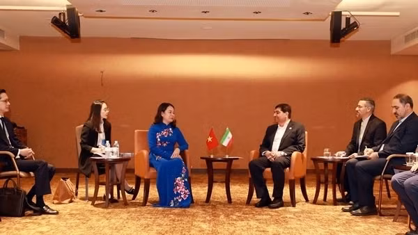 Vice State President has bilateral meetings in New York ảnh 4