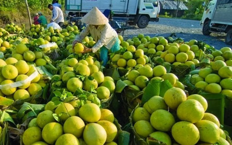 Vietnam to witness bright prospects for fruit, vegetable exports -0